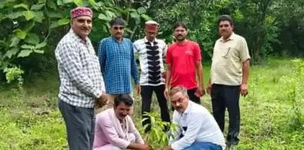 चुरहट: चुरहट क्षेत्र की शासकीय एवं अशासकीय संस्थाओं में 'एक पेड़ मां के नाम' के तहत हुआ पौधारोपण