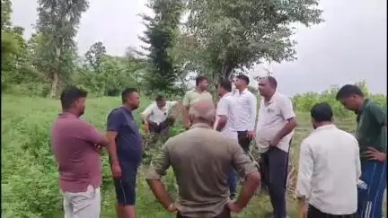 कलेसर नेशनल पार्क से निकले हाथियों ने अराईयावाला के खेतों में मचाया उत्पात, वन्य प्राणी विभाग ने की गश्त