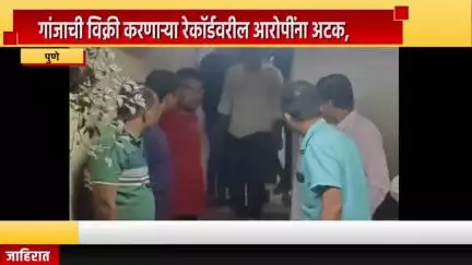 पुणे शहर: आंबेगाव येथे गांजाची विक्री करणार्‍या रेकॉर्डवरील आरोपींना अटक, लाखोंचा गांजा जप्त