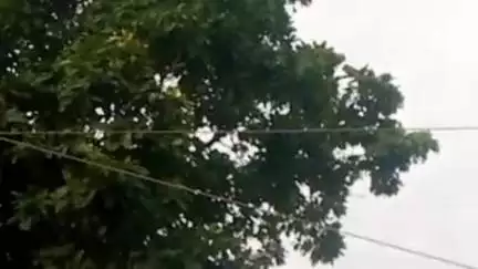 गाडरवारा: बसुरिया विद्युत पावर हाउस के अंतर्गत विद्युत तार टूटने से ग्राम बेलखेड़ी लवासर में 8 दिनों से बाधित है बिजली आपूर्ति