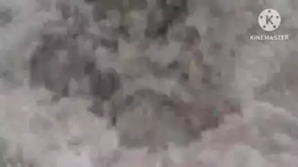 छिंदवाड़ा: छिंदवाड़ा: कन्हर गांव में पाइपलाइन फूटने से बहा हजारों लीटर पानी, ग्रामीणों ने नगर निगम से की शिकायत