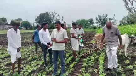 सुसनेर: वैज्ञानिक और कृषि अधिकारियों के दल ने नाहरखेड़ा, उमरीया, पिपलिया नानकार आदि गांवों में भ्रमण कर किसानों को सलाह दी