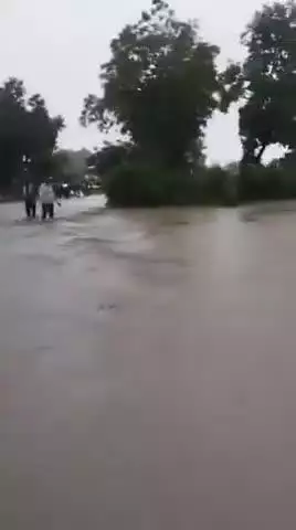 नरसिंहगढ़: नरसिंहगढ़ में बारिश से नदी-नाले उफान पर, छोटा बैरसिया में जान जोखिम में डालकर नदी पार करते दिखे लोग