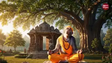 जब पांडा भैया के दिए समोसे को बंदर ने ठुकराया, देखे फिर क्या हुआ?