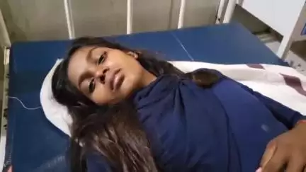 काको: रोटी के लिए आटा निकालने गई किशोरी को सांप ने काटा, बिगड़ी तबीयत, सांप लेकर इलाज कराने पहुंचे