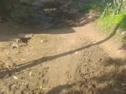 chitrakut ke madna pawari gaon ka rasta