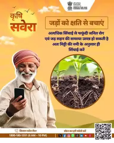 हर सुबह खेती की सही बात! 
जुड़े रहिए #KrishiSavera के साथ और शेयर करें अपनी टिप्स। 

#Agrigoi #Farmingtips
