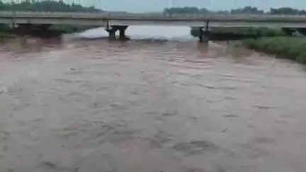 अम्बाला: पहाड़ों में भारी बारिश से मुलाना में मारकंडा नदी उफान पर, 5.5 फीट जलस्तर दर्ज