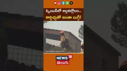 Spanish Firefighters Battle Wildfires in Catalonia Mountains |స్పెయిన్‌లో అల్లకల్లోలం| #shorts |N18G