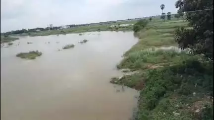 बख्तियारपुर: धोबा नदी किनारे बोरे में मिला अज्ञात दिव्यांग का शव, मौके पर पहुंचे एसपी और डीएसपी