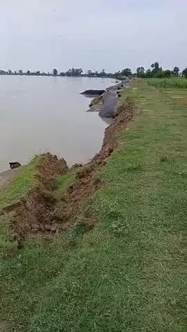 जसनगर में फिर से काटन चालू हो गया है