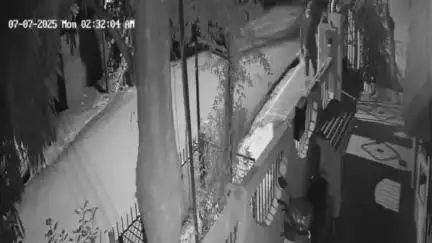 मंदसौर: किटियानी में डॉक्टर के घर चोरी का प्रयास, बाउंड्री से कूदकर भागते चोर CCTV में कैद