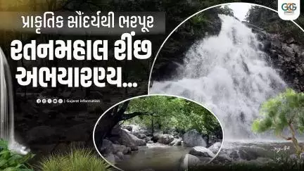 કુદરતી સૌંદર્યથી ભરપૂર અને પ્રવાસીઓને પ્રકૃતિ સાથે જોડાવાની તક આપતું દાહોદનું રતનમહાલ રીંછ અભયારણ્ય…