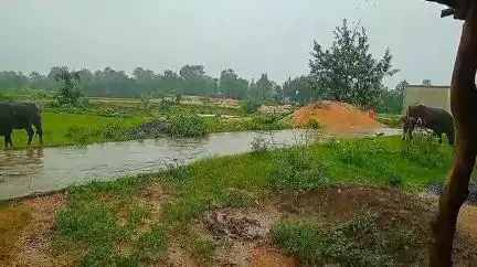 किरनापुर: दक्षिणी बालाघाट जिले में बिजली के साथ मध्यम बारिश की संभावना