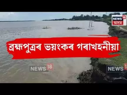 Misamari News। শোণিতপুৰৰ বছাশিমলুত ব্ৰহ্মপুত্ৰৰ ভয়ংকৰ গৰাখহনীয়া অব্যাহত। N18V