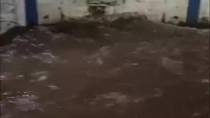 दमोह: मूसलाधार बारिश से शहर के नदी-नाले जलमग्न, सुभाष कॉलोनी और आम चौपारा के घरों में फिर भरा पानी