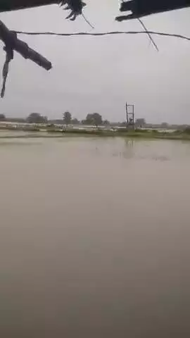 अंहाई  मध्य प्रदेश में 8 जुलाई को रात में  बहुत तेज पानी गिरने से खेतों में लगातार पानी बह रहा है