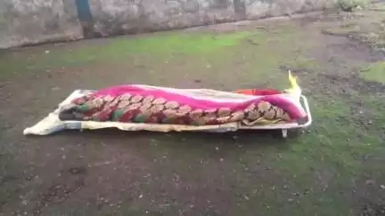 लटेरी: लटेरी के ग्राम इमरत फॉर्म में नवविवाहिता ने फांसी लगाकर की आत्महत्या, दो महीने पहले हुई थी शादी