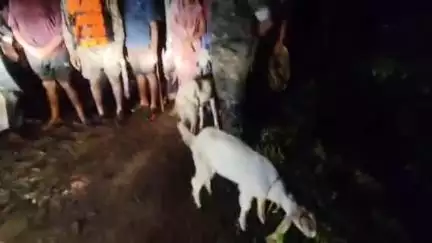 वारासिवनी: जरामोहगांव: उफनते नाले में फंसे 4 ग्रामीण, पुलिस और SDRF ने 7 घंटे बाद सुरक्षित निकाला