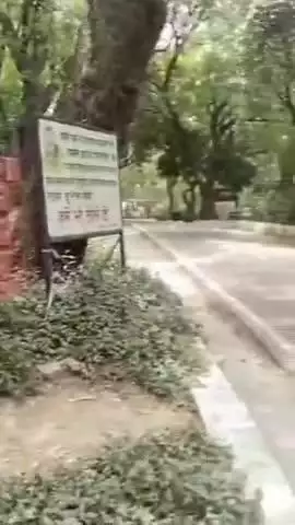 कानपुर: बर्ड फ्लू का खतरा टला, 56 दिनों के बाद दर्शकों के लिए खुला कानपुर चिड़ियाघर