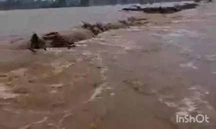 कुरखेडा: कूरखेडा तालूक्यात मूसळधार पावसामूळे अनेक प्रमूख मार्ग बंद,शाळा महाविद्यालयाना सूट्टी