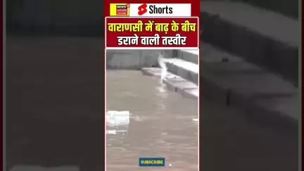UP FLOOD: वाराणसी में बाढ़ के बीच आई डराने वाली तस्वीर! #news18up