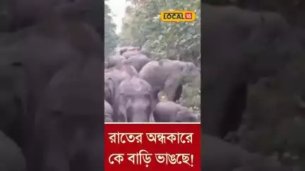 Bangla News | রাতের অন্ধকারে কে যেন বাড়ি ভাঙছে! ভয়ানক অভিজ্ঞতা বাঁকুড়ায় | #local18shorts