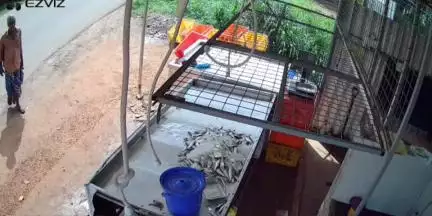 കുന്നത്തൂർ: മൈനാഗപ്പള്ളിയിലെ മീൻകടയിൽ മോഷണം, പണം അപഹരിച്ചു, സി.സി.ടി.വി ദൃശ്യം