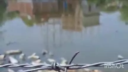 बिंदकी: गोधरौली गांव में प्रदूषित पानी से लोग हो रहे परेशान, आसपास के लोगों में नाराजगी jansamasya