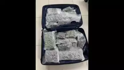 திருச்சி கிழக்கு: விமான நிலையத்தில் கடத்தி வரப்பட்ட ₹12 கோடி மதிப்பிலான உயர் ரக கஞ்சா பறிமுதல்