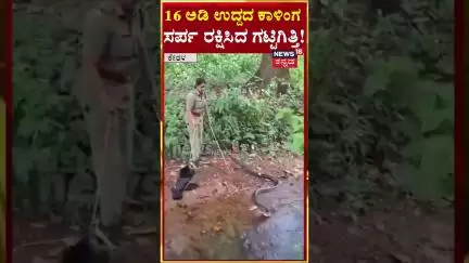 Fearless Forest Officer Rescues 16-Foot King Cobra! | ಭಾರಿ ಗಾತ್ರದ ಕಾಳಿಂಗ ರಕ್ಷಿಸಿದ ಅರಣ್ಯ ಅಧಿಕಾರಿ|N18S