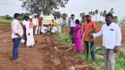 ఎమ్మిగనూరు: ఎమ్మిగనూరు :గోనెగండ్లలో ఎంపీడీవో మని మంజరి ఆధ్వర్యంలో ఉపాధి హామీ పథకం కింద పండ్ల తోట పెంపకానికి రైతులకు ప్రభుత్వం సహాయం