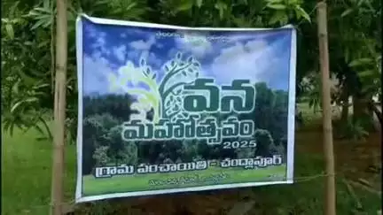 సిద్దిపేట అర్బన్: చందులాపూర్  గ్రామంలో పశుసంవర్ధక పాలిటెక్నిక్ కళాశాలలో మొక్కలు నాటిన జిల్లా కలెక్టర్ హైమావతి
