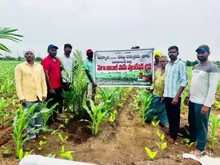బాల్కొండ: ఆయిల్ ఫామ్ సాగు, లాభాలపై మెండోరలో రైతులకు అవగాహన కల్పించిన మండల ఉద్యాన అధికారి రుద్ర వినాయక్