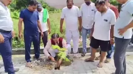 बुलंदशहर: भाकियू महाशक्ति के राष्ट्रीय अध्यक्ष ने नगर क्षेत्र के वार्ड नंबर 29 में पदाधिकारियों के साथ किया वृक्षारोपण
