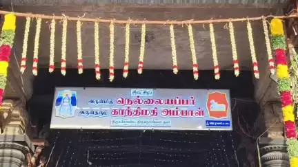 திருநெல்வேலி: நெல்லையப்பர் கோவிலில் ஆனி திருவிழா திருத்தேரோட்டம்- சபாநாயகர், அமைச்சர் வடம் பிடித்து தேரை இழுத்தனர்