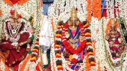 சிங்கம்புனரி: முறையூர் மீனாட்சி சொக்கநாதர் திருக்கோவிலில் திருக்கல்யாண வைபவம்