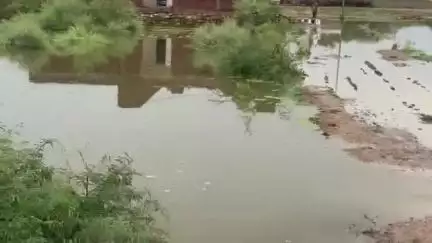 जौरा: जौरा शहर के वार्ड 18 में जल भराव की समस्या, वार्ड वासियों ने नगरी पालिका सीएमओ को दिया आवेदन