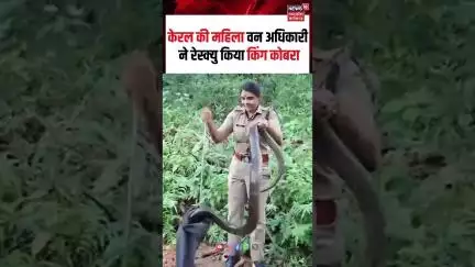 Viral Video: केरल की महिला वन अधिकारी ने रेस्क्यु किया किंग कोबरा | Shorts | King Cobra | N18S |