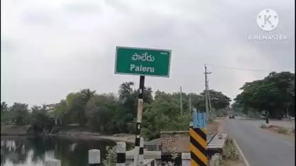 కూసుమంచి: పాలేరు నియోజకవర్గ వ్యాప్తంగా  ఘనంగా వైయస్ రాజశేఖర్ రెడ్డి జయంతి వేడుకలు