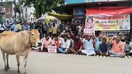 बीना: सर्वोदय चौराहे पर गौ सेवकों का विधायक के विरोध में प्रदर्शन, एसडीएम को सौंपा ज्ञापन