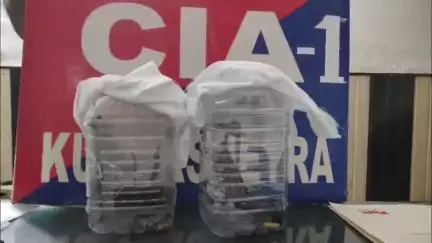 थानेसर: कुरुक्षेत्र CIA1 ने हत्या के मामले में वांछित मुख्य आरोपी को किया गिरफ्तार, हथियार बरामद