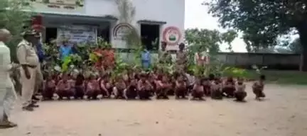 बांसी: पिपरा प्राथमिक विद्यालय में वन महोत्सव का आयोजन, क्षेत्रीय वन अधिकारी रहे मौजूद, कई प्रजातियों के पौधे लगाए गए