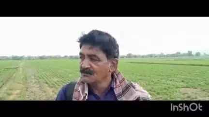 હિંમતનગર: જિલ્લામાં મગફળીના પાક પકવતા ખેડૂતો બન્યા ચિંતિત: હિંમતપુર ગામના ખેડૂત અરવિંદભાઈ પટેલે આપી પ્રતિક્રિયા