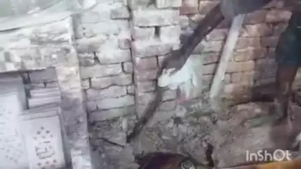 आगरा: राजेश्वर मंदिर के पास गोपी नगर में निकला सांप, PRV 00 24 ने किया रेस्क्यू