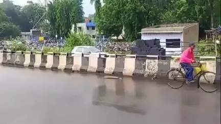 आदित्यपुर गम्हरिया: टीजीएस गेट के पास सड़क हादसे में अजगर की मौत, कुछ देर के लिए लगा जाम