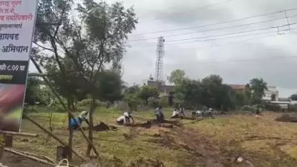कराड: डॉ.श्री.नानासाहेब धर्माधिकारी प्रतिष्ठानच्यावतीने कराड, पाटण, खटाव तालुका ठिकाणी सहाशे एक वृक्षांची वृक्ष लागवड
