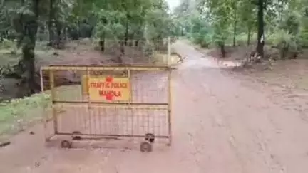 घुघरी: घुघरी के मोहगांव में पुल से बही कार, तीन लोग सुरक्षित, पुल में पानी अधिक होने से हुआ हादसा