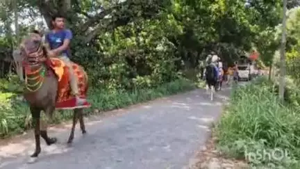 मढ़ौरा: परौना में शतचंडी महायज्ञ के लिए ग्रामीणों ने किया ध्वजारोहण