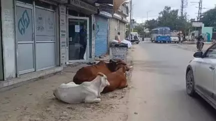 पुष्कर: पुष्कर की विभिन्न समस्याओं को लेकर उपखंड अधिकारी को एसडीएम कार्यालय में दिया ज्ञापन, रखी गई मांग